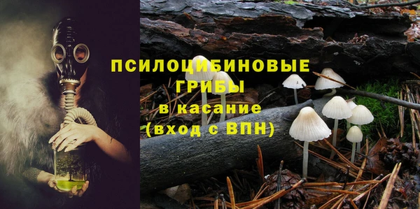 стаф Алексеевка