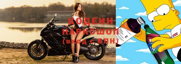 круглые Аркадак