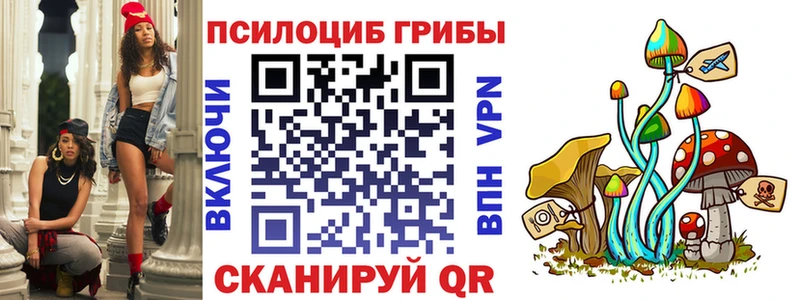 Псилоцибиновые грибы Cubensis  Отрадная 